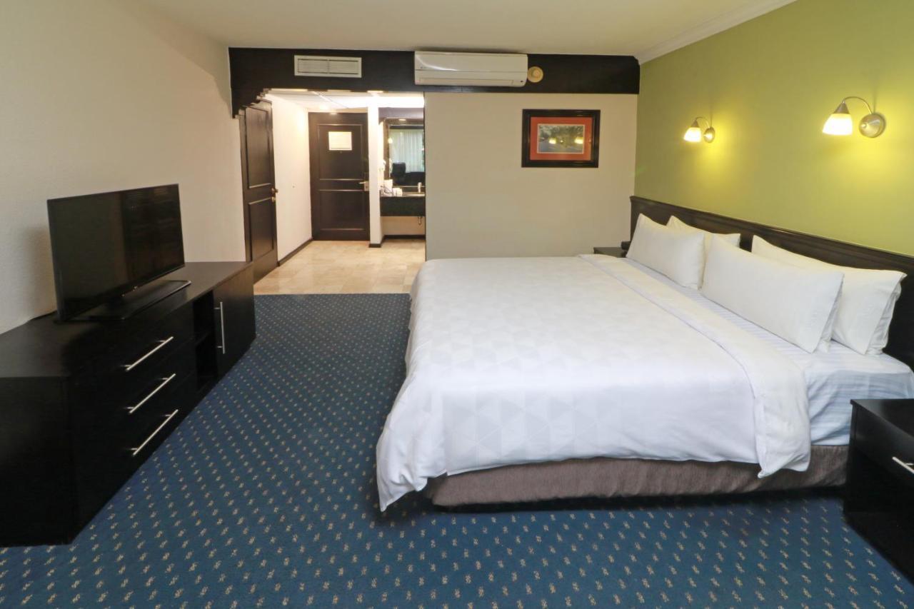 Holiday Inn San Luis Potosi-Quijote By Ihg Exteriér fotografie