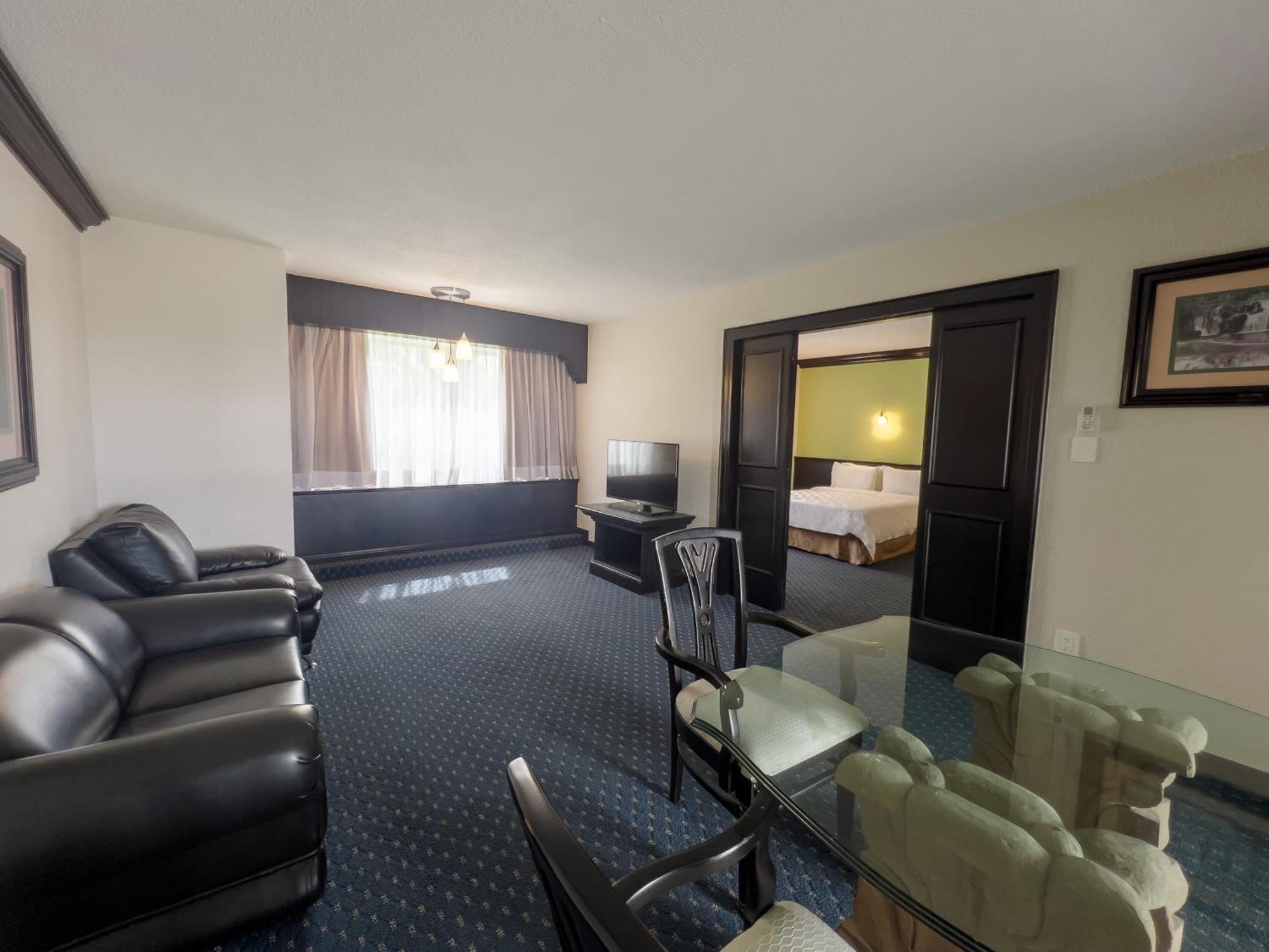 Holiday Inn San Luis Potosi-Quijote By Ihg Exteriér fotografie